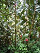 Image IMG_1914.JPG