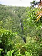 Kahuna Falls, partially hidden by the forest.
