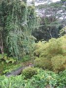 Image IMG_1985.JPG