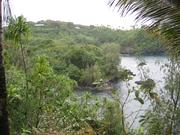 Image IMG_1990.JPG