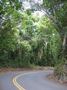 Pretty roads.