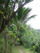 Image IMG_2001.JPG