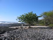 Image IMG_1248.JPG