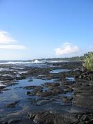 Image IMG_1279.JPG