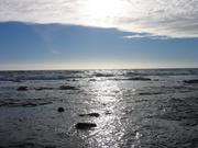 Image IMG_1285.JPG