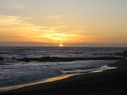 Image IMG_1337.JPG