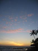 Image IMG_1342.JPG