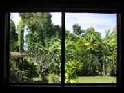 And this is the view out the large window you see when you wake up.    