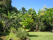 Image IMG_0545.JPG
