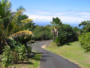 The view down the rather steep driveway.  Elevation is about 1060 feet according to my GPS, and a mile or two from the ocean (visible in the distance).
