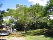 Image IMG_0576.JPG