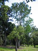 Image IMG_0934.JPG