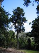 Image IMG_0936.JPG
