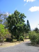 Image IMG_0955.JPG