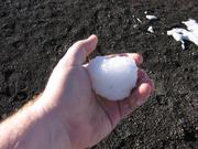 A snowball in Hawaii.  Elevation is somewhere around 13600 feet.
