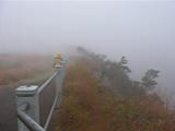 Steaming Bluff.