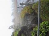 Steam vents.