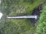 Akaka Falls.