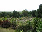 Image IMG_0603.JPG