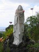 Image IMG_0623.JPG