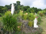 Image IMG_0626.JPG