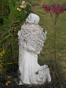 Image IMG_0627.JPG