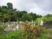 Image IMG_0633.JPG