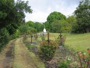 Image IMG_0662.JPG