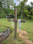 Image IMG_0669.JPG