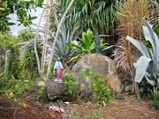Image IMG_0696.JPG