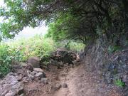 This is what the trail looks like, steep, but pretty good footing.  We are lucky that it is dry, would be challenging if it was wet and slippery. 