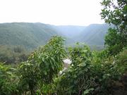 And here is the view of the valley behind the beach.