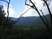 The hazy valley.