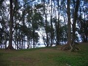 Image IMG_1195.JPG
