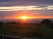Sunset on the way home, complete with authentic Hawaiian power lines.