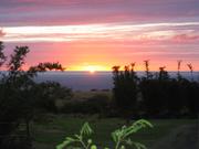 Image IMG_1214.JPG