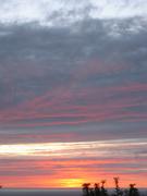 Image IMG_1226.JPG