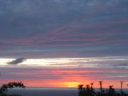 Image IMG_1231.JPG