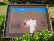 Image IMG_1783.JPG