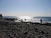 A crunchy beach