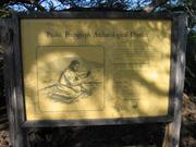 Image IMG_1799.JPG