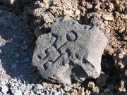 Puako Petroglyphs