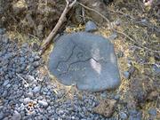 Image IMG_1810.JPG