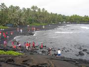 Kids looking for turtles.