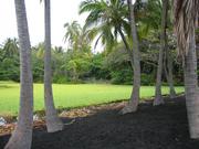 Punalooa Black Sand Beach Park