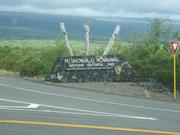 Image IMG_0704.JPG