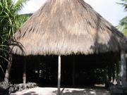 Image IMG_0717.JPG