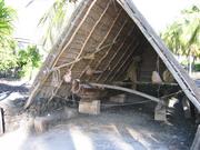 Image IMG_0777.JPG