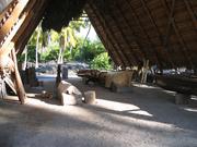 Image IMG_0781.JPG