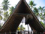 Image IMG_0788.JPG